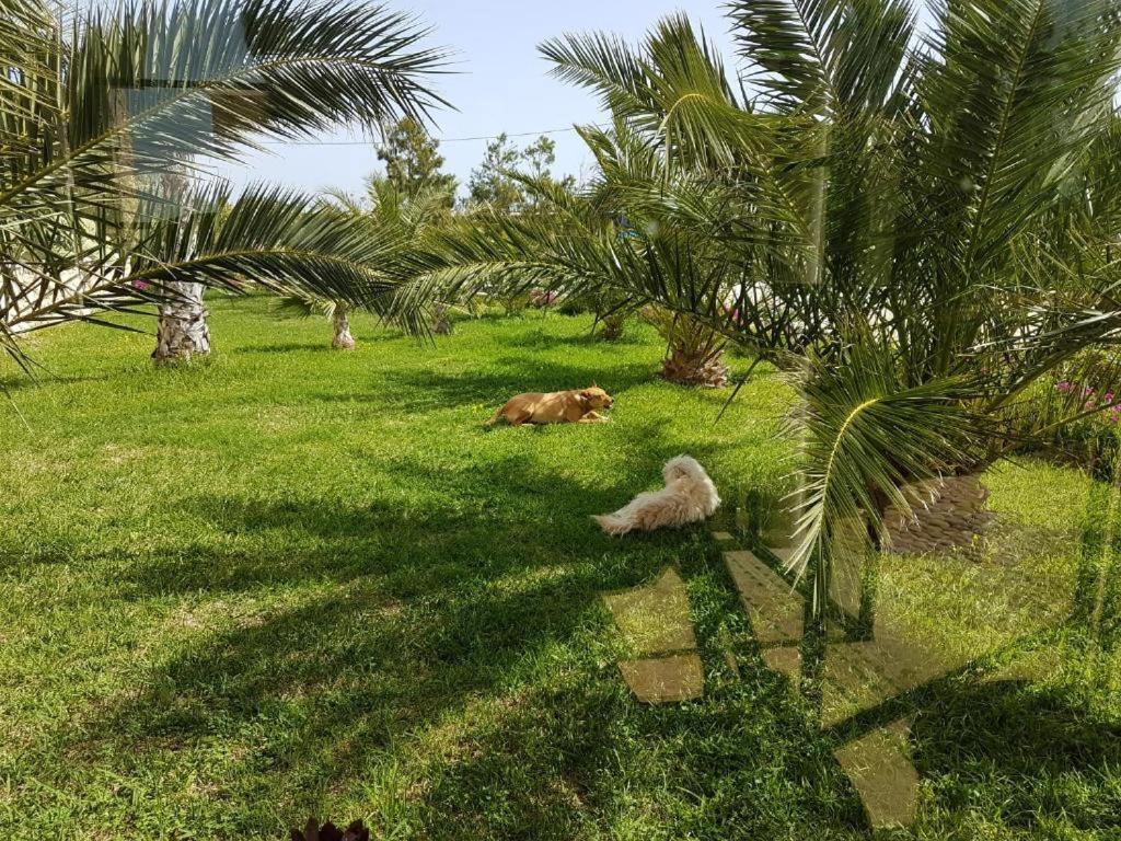 Les Jardins De Mogador Yoga Et Spa Essaouira Ngoại thất bức ảnh