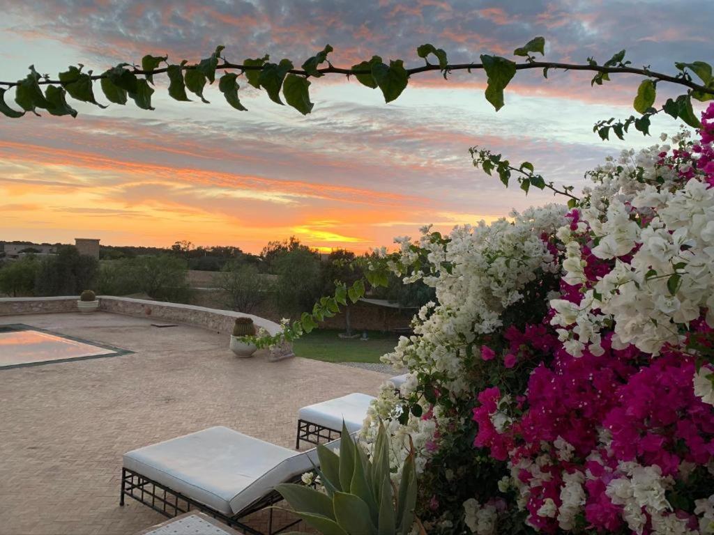 Les Jardins De Mogador Yoga Et Spa Essaouira Ngoại thất bức ảnh